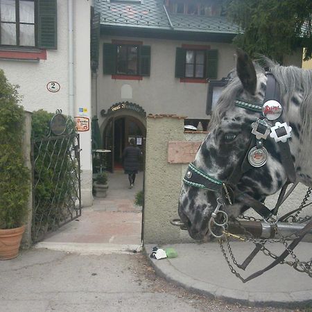 Haus Wartenberg Salzburg Dış mekan fotoğraf