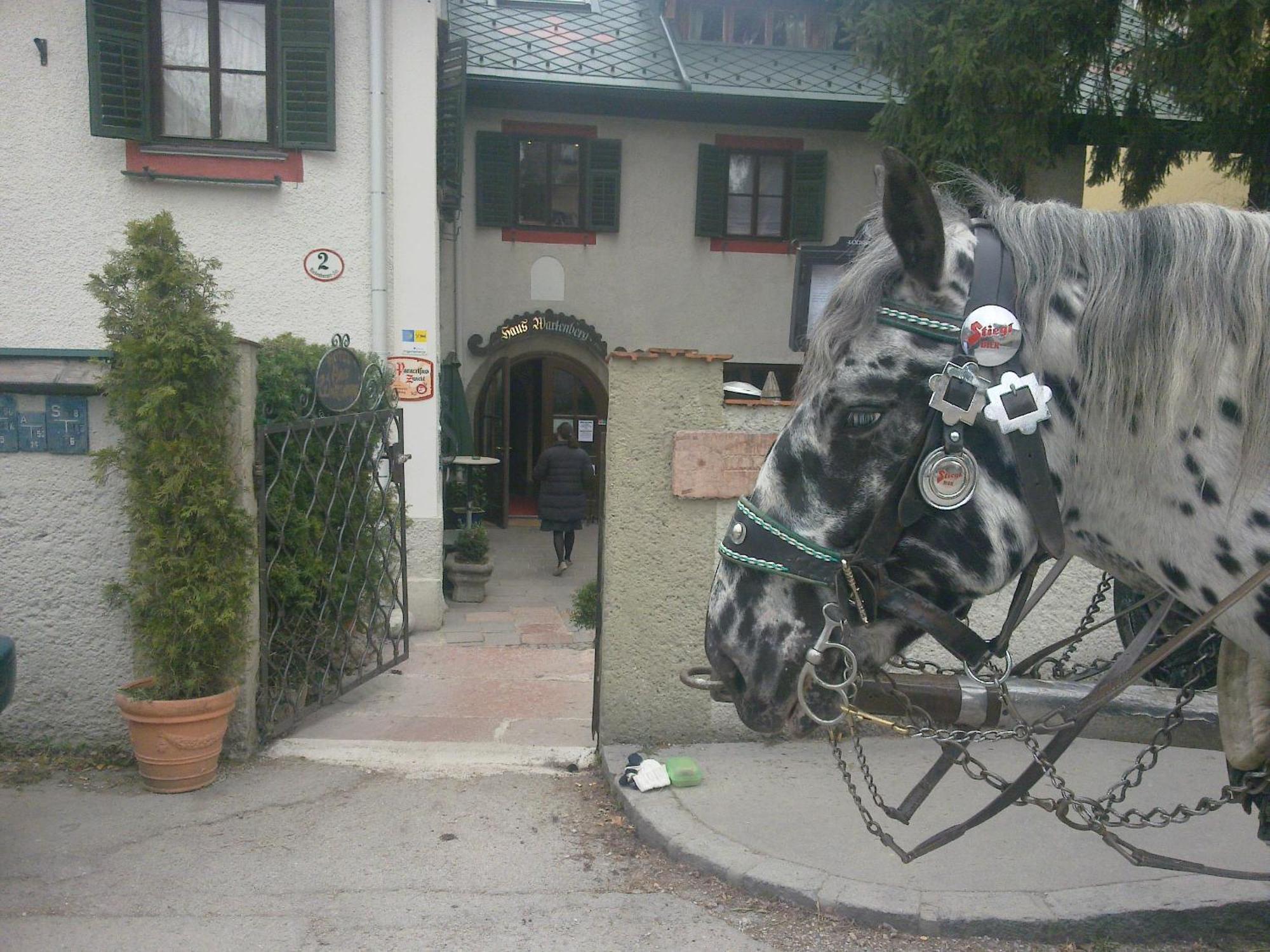 Haus Wartenberg Otel Salzburg Dış mekan fotoğraf